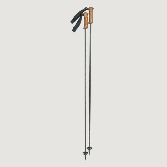 Carbon ski pole (walnut)